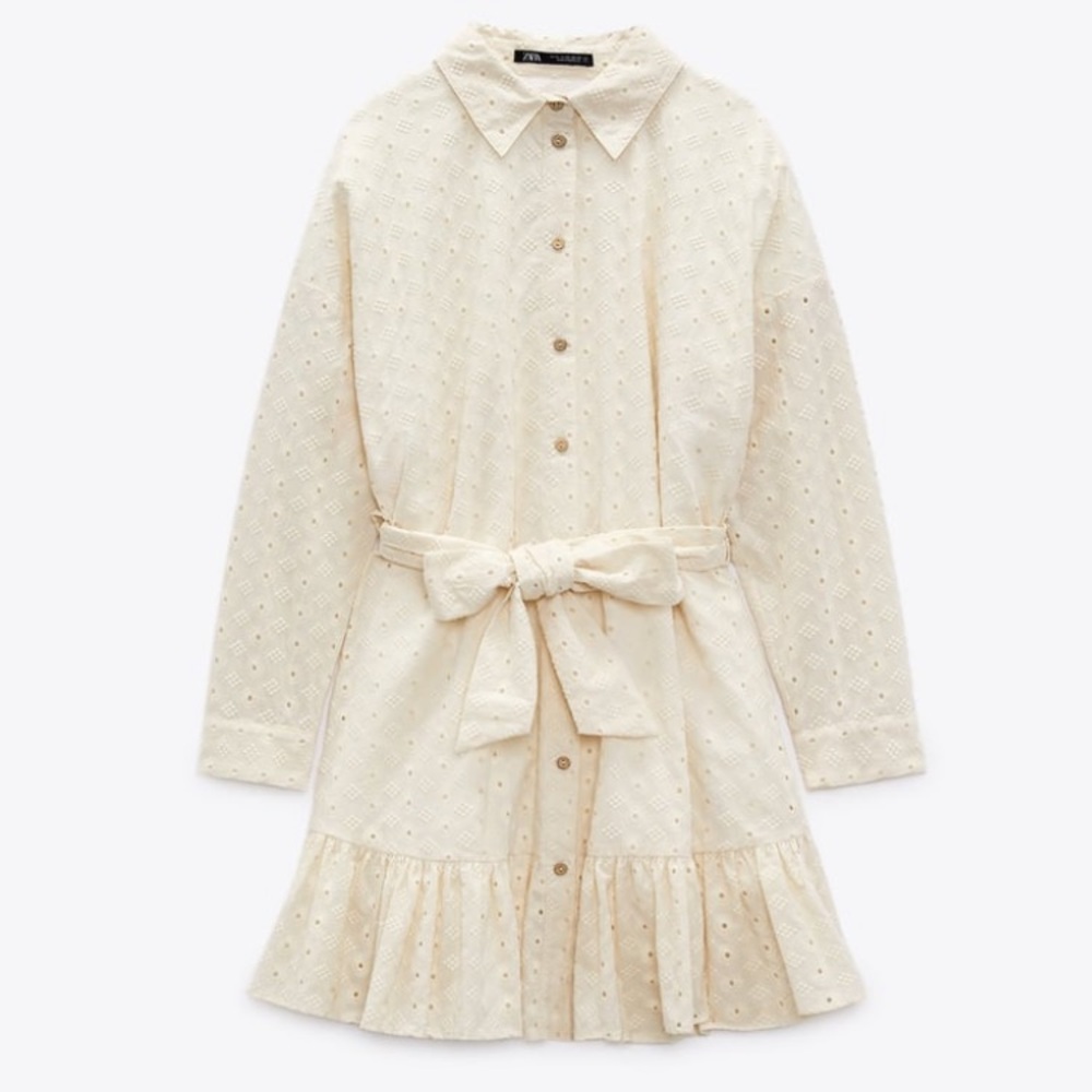 Zara Woman Cutwork Dress - Picture 4 of 7